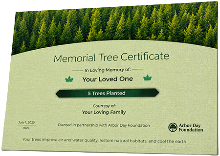 Plant Trees in Memory of Mr. James M. Henderson